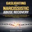 Gaslighting and Narcissitic Abuse Recovery: A Beginner's Guide to ...