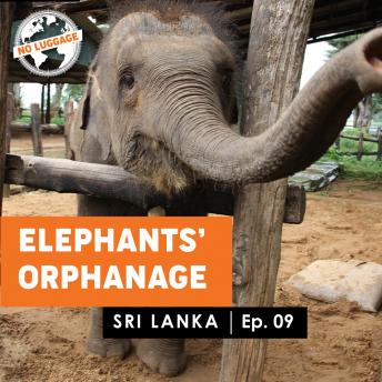 Sri Lanka - Elephants' Orphanage