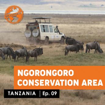 Tanzania - Ngorongoro /