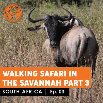 South Africa - Walkin Safari in the Savannah