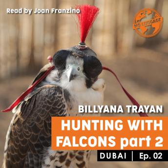 Dubai - Hunting with falcons, Part-2