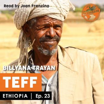 Download Ethiopia - Teff by Billyana Trayanova