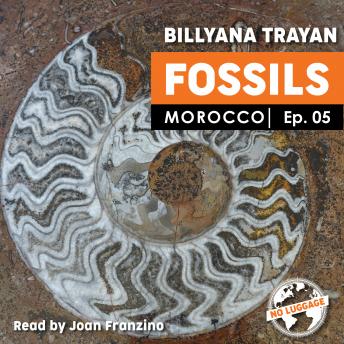Morocco - Fossils