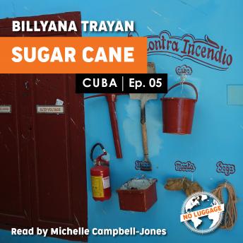 Cuba - Sugar Cane Harvesting_05