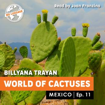 Mexico -  World of Cactuses