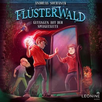 [German] - Flüsterwald - Gefangen auf der Spiegelseite (Staffel III, Band 3)