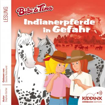 [German] - Indianerpferde in Gefahr - Bibi & Tina - Hörbuch, Folge 6 (Ungekürzt)