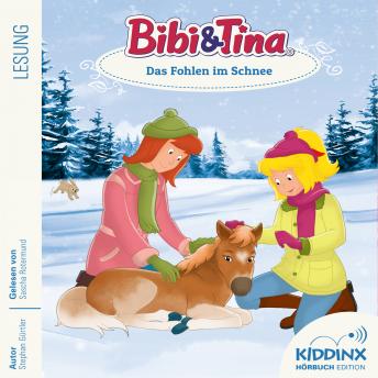 [German] - Das Fohlen im Schnee - Bibi & Tina - Hörbuch, Folge 9 (Ungekürzt)