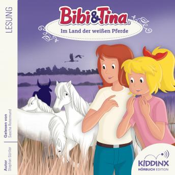 [German] - Im Land der weißen Pferde - Bibi & Tina - Hörbuch, Folge 11 (Ungekürzt)