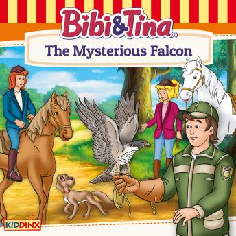 Bibi and Tina, The Mysterious Falcon