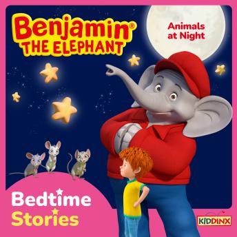Benjamin the Elephant, Bedtime Stories for Kids, Animals at Night
