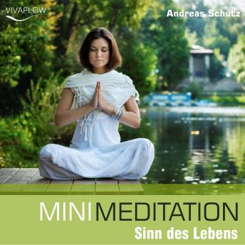 [German] - Mini Meditation - Sinn des Lebens: Entspannung, Abbau von Stress & Selbsterkenntnis