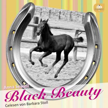 Black Beauty: Die Lebensgeschichte eines Pferdes von sich selbst erzählt, Audio book by Anna Sewell