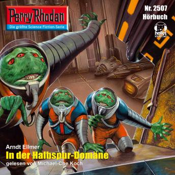 [German] - Perry Rhodan 2507: In der Halbspur-Domäne: Perry Rhodan-Zyklus 'Stardust'