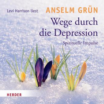 [German] - Wege durch die Depression: Spirituelle Impulse