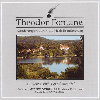 Download Wanderungen durch die Mark Brandenburg (03): Buckow und Der Blumenthal by Theodor Fontane