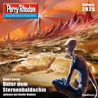 [German] - Perry Rhodan 2825: Unter dem Sternenbaldachin: Perry Rhodan-Zyklus 'Die Jenzeitigen Lande'