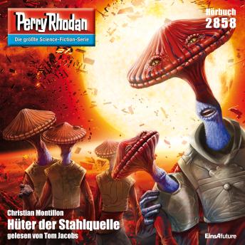 [German] - Perry Rhodan 2858: Hüter der Stahlquelle: Perry Rhodan-Zyklus 'Die Jenzeitigen Lande'