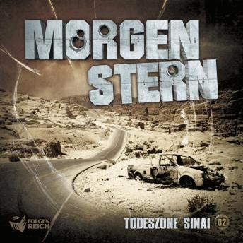 02: Todeszone Sinai, Audio book by Raimon Weber