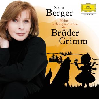 Meine Lieblingsmärchen der Brüder Grimm, Audio book by The Brothers Grimm