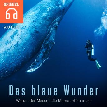 [German] - Das blaue Wunder: Warum der Mensch die Meere retten muss
