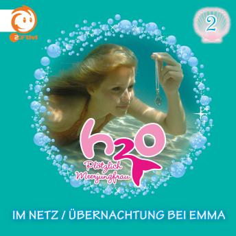 Download 02: Im Netz / Übernachtung bei Emma by Thomas Karallus, Henning Stegelmann