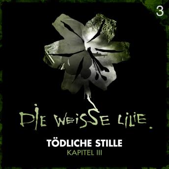03: Tödliche Stille - Kapitel III, Audio book by Benjamin Oechsle, Timo Kinzel