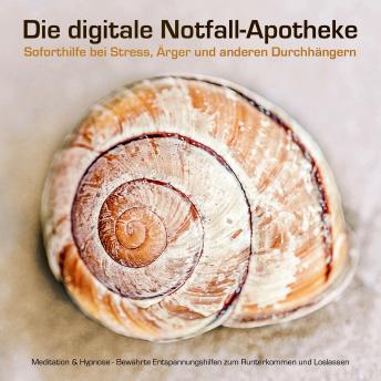 [German] - Die digitale Notfall-Apotheke: Soforthilfe bei Stress, Ärger und anderen Durchhängern: Premium-Entspannung für Anfänger und Fortgeschrittene