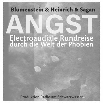 [German] - ANGST - Electroaudiale Rundreise durch die Welt der Phobien: Präsentiert vom Radio Schwarzwasser, Folge 2