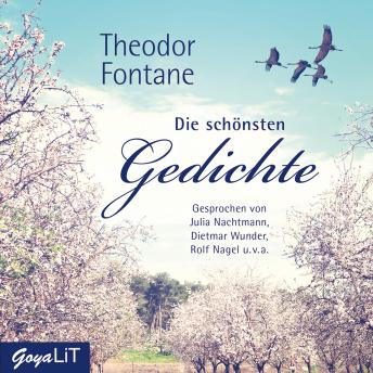 Theodor Fontane. Die schönsten Gedichte, Audio book by Theodor Fontane