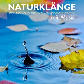 [German] - Naturklänge mit Musik - zum Einschlafen, Meditieren, Heilen und Entspannen: Ozeanwellen, Waldgeräusche, Regentropfen, Vogelstimmen, Bachlauf, Wasserfall, Entspannungsmusik, Einschlafmusik