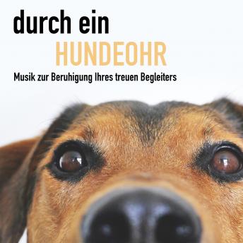 [German] - Durch ein Hundeohr - Entspannungsmusik für Hunde: Sorgt bei Ihrem Vierbeiner für maximale Entspannung
