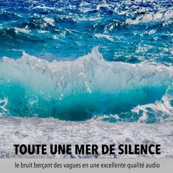 [French] - une mer de tranquillité, un océan de calme, toute une mer de silence: le bruit apaisant des vagues dans une excellente qualité audio