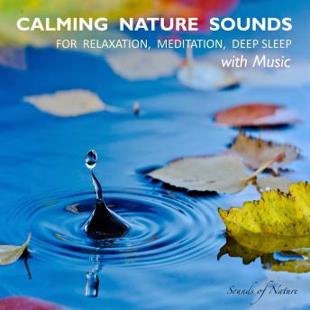 Calming Nature Sounds With Music: Sounds of Nature for Relaxation, Meditation, Deep Sleep: Stress Relief, Soothing New Age Sounds, Music to Calm Down, Singing Birds, Ocean Waves, Forest Sounds, Relaxi