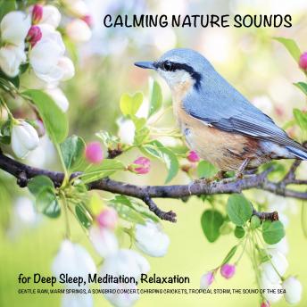 Calming Nature Sounds (without music) for Deep Sleep, Meditation, Relaxation: Gentle rain, warm springs, chirping crickets, a songbird concert, the sounds of the sea, tropical storm