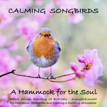 Calming Songbirds: Nature Sounds Recording Of Bird Calls - A songbird concert for Meditation, Relaxation and Creating a Soothing Atmosphere: A Hammock for the Soul