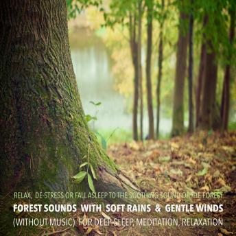 Forest Sounds with Soft Rains & Gentle Winds (without music) for Deep Sleep, Meditation, Relaxation: Relax, De-stress Or Fall Asleep To The Soothing Sounds Of Nature
