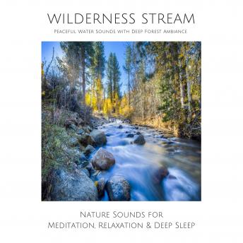 Wilderness Stream (without music) - Peaceful Water Sounds with Deep Forest Ambience: Nature Sounds for Meditation, Relaxation & Deep Sleep