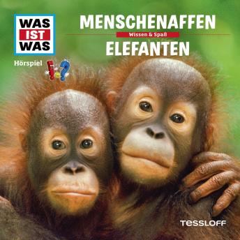 [German] - 33: Menschenaffen / Elefanten