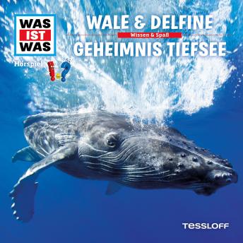 [German] - 13: Wale & Delfine / Geheimnis Tiefsee