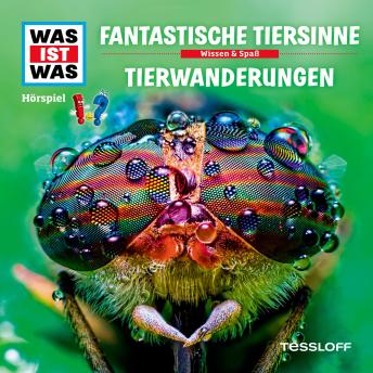 [German] - 42: Fantastische Tiersinne / Tierwanderungen