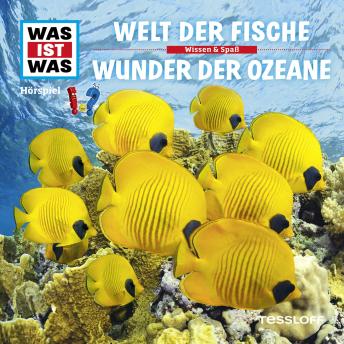 [German] - 31: Welt der Fische / Wunder der Ozeane