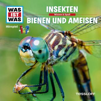 [German] - 37: Insekten / Bienen und Ameisen