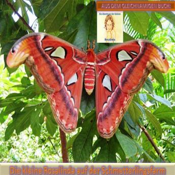Explore New Full Audiobooks in Kids, Animals & Nature