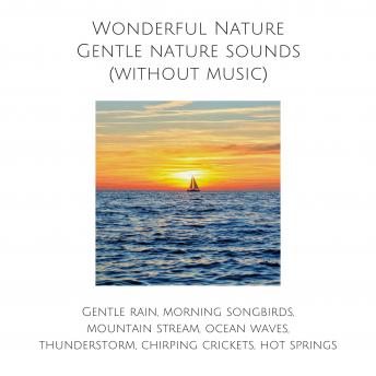 Wonderful Nature: Gentle nature sounds (without music): Calming rain, morning songbirds, mountain stream, ocean waves, thunderstorm, chirping crickets, hot springs