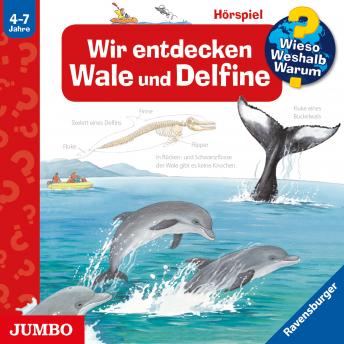 [German] - Wir entdecken Wale und Delfine [Wieso? Weshalb? Warum? Folge 41]