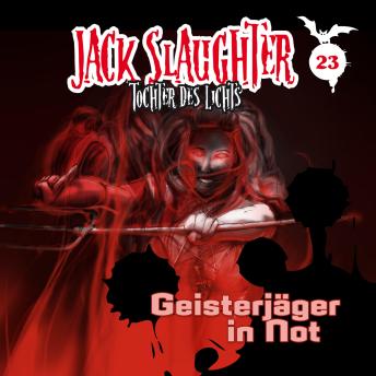 23: Geisterjäger in Not, Audio book by Heiko Martens, Lars Peter Lueg