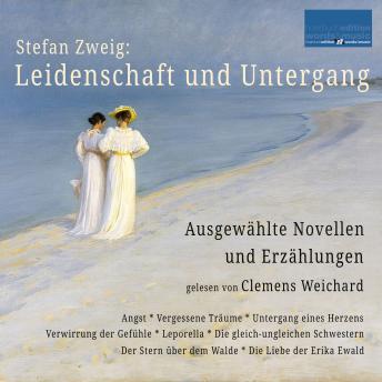 [German] - Stefan Zweig: Leidenschaft und Untergang: Ausgewählte Novellen und Erzählungen