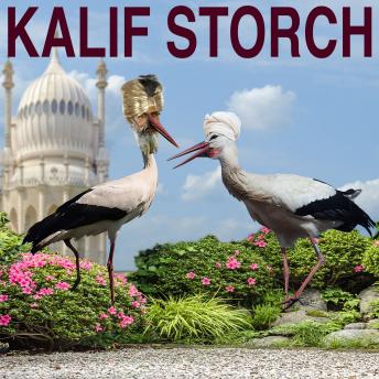 Kalif Storch, Audio book by Wilhelm Hauff