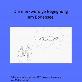 [German] - Die merkwürdige Begegnung am Bodensee: Fallzusammenfassung einer UFO-Insassen-Begegnung
